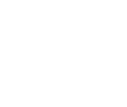 PortalPlayer