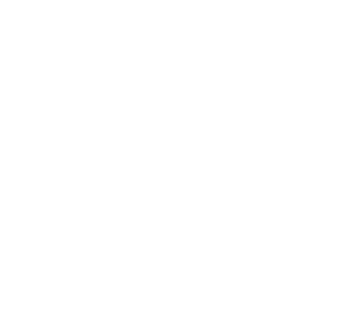 Cereflux