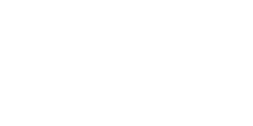 iSoftStone